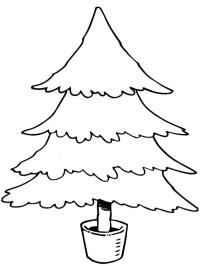 Kerstboom in pot