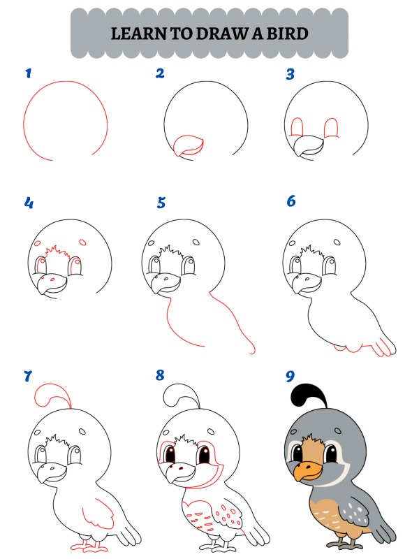 Hoe teken je een vogel?
